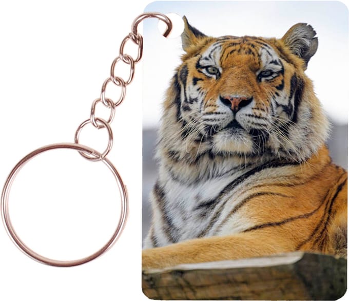 Sleutelhanger 6x4cm - Tijgers - Op Rots
