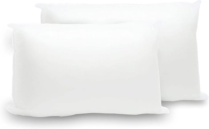 Sierkussen Inzetstukken - Kussen Vulling - Bank Decoratie - Set van Twee - 30x50 cm - Wit