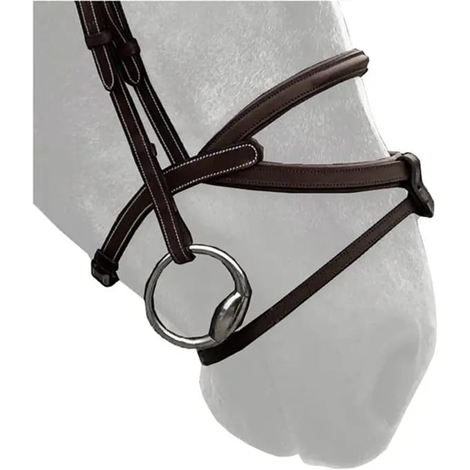 Paardenneusriem Silver Crown Brazilian