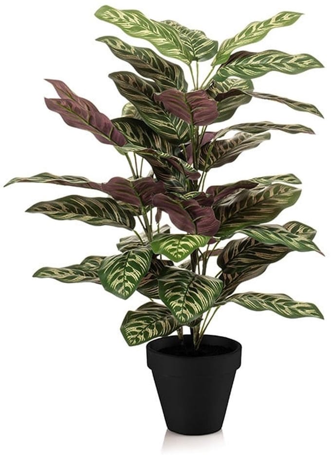 Calathea Bush in Pot - Kunstplant - 65 cm