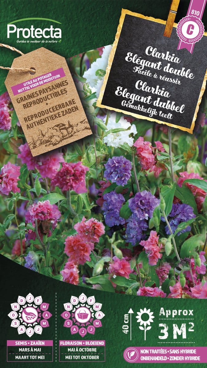 Protecta Bloemen zaden: Clarkia elegant dubbel gemengd
