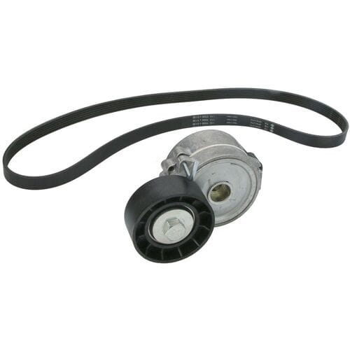Schaeffler Ina V-snaar set (met rollen) INA 529 0315 10