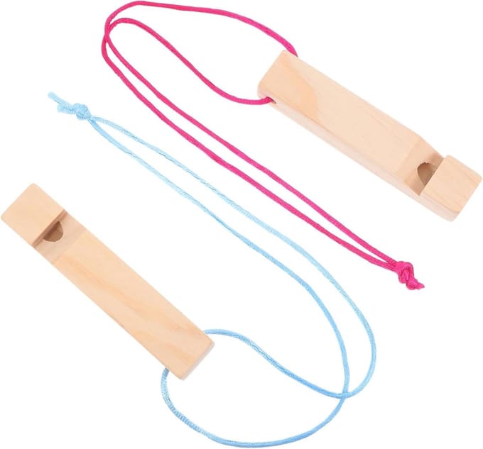 Muzikaal Speelgoed - Mini Fluitjes - Muziek Educatie - DIY Schilderen - 10 cm - Gemengde Kleur