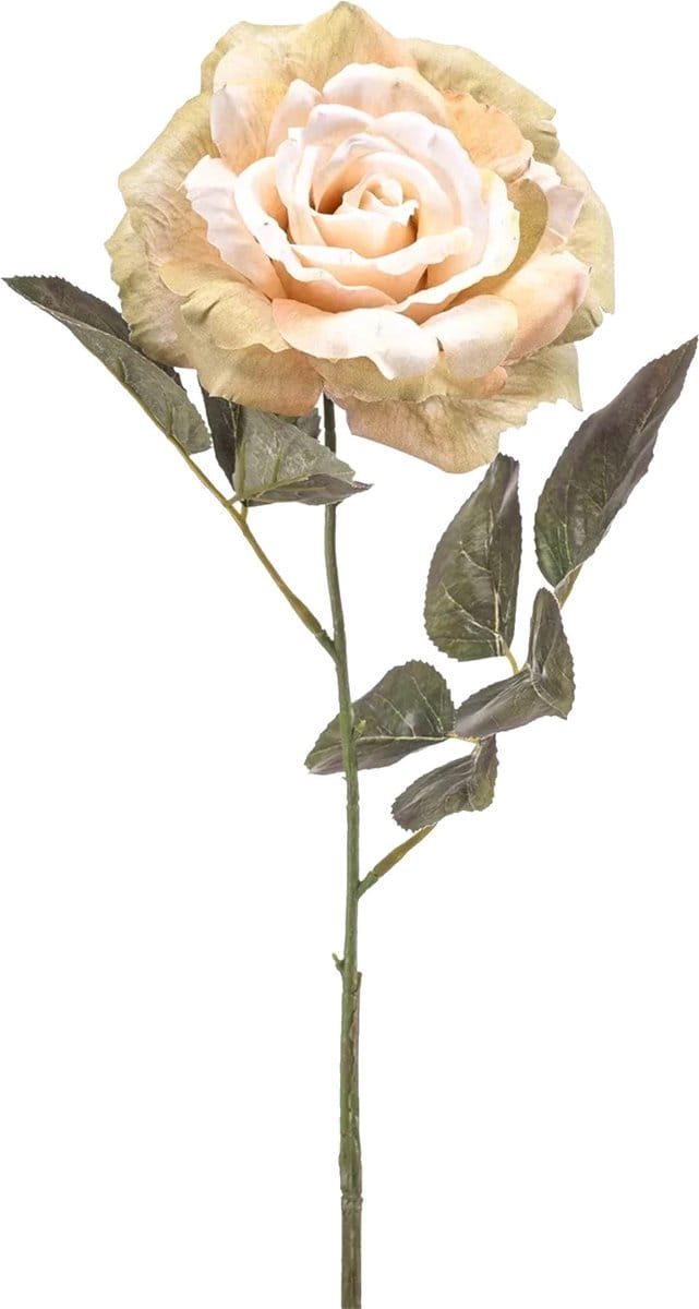Emerald Kunstbloem roos Pascal - warm wit - 65 cm - decoratie bloemen