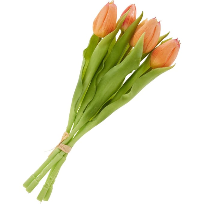 Tulpen bos met 3 bloemen en 2 knoppen - Salmon