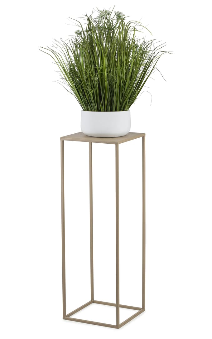 HowHomely - Stalen Plantenstandaard - Beigemetaal - 70 cm - Minimalistisch Design