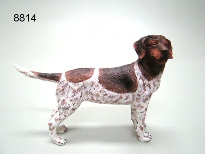 hond duitse staander