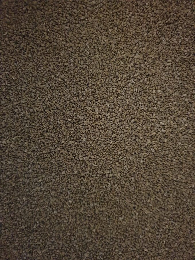 Spirulina granulaat medium (1,2 - 1,5mm)