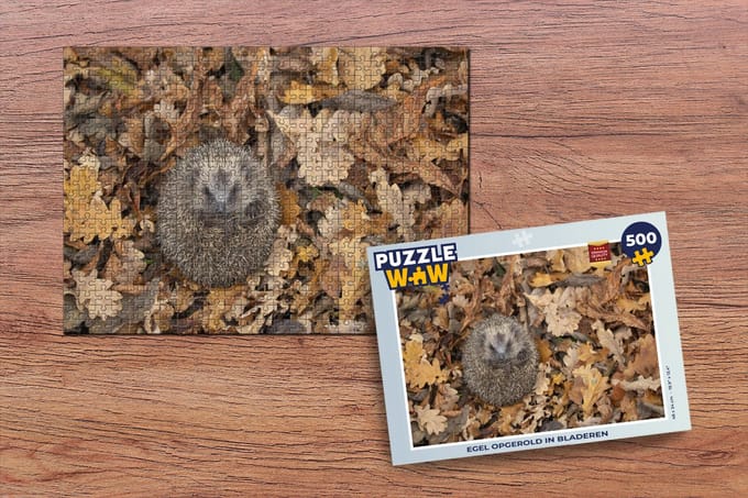 Puzzel Egel opgerold in bladeren - Legpuzzel - Puzzel 500 stukjes