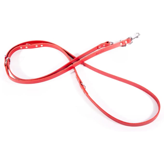 Leren hondenriem Martin Sellier Bico 499