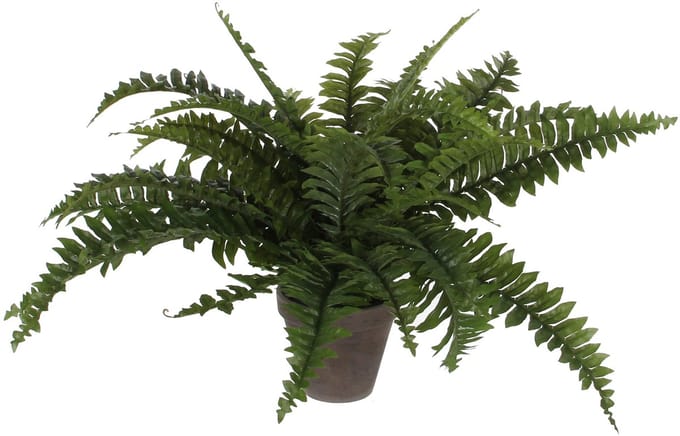Kunstplant mica boston varen groen in pot | 4 stuks