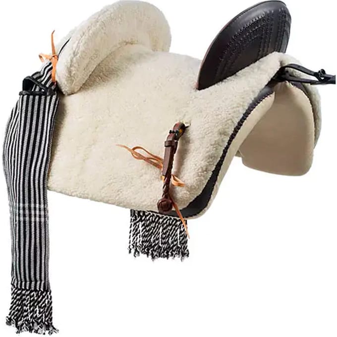 Compleet Zadelset Lexhis Galleo