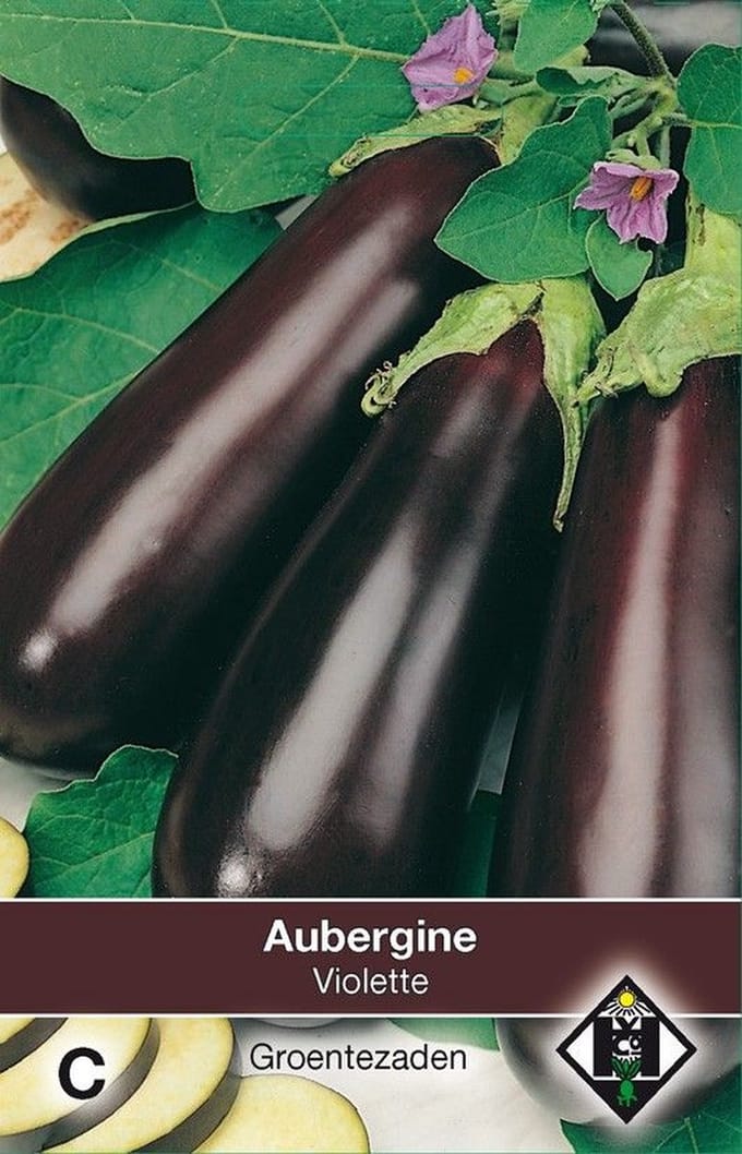 Van Hemert - Aubergine Violette