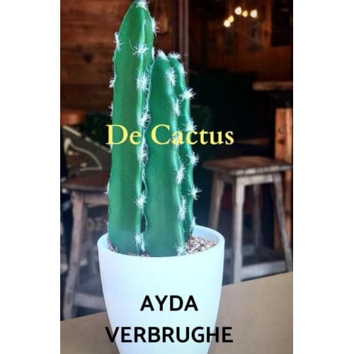 De Cactus - Ayda Verbrughe