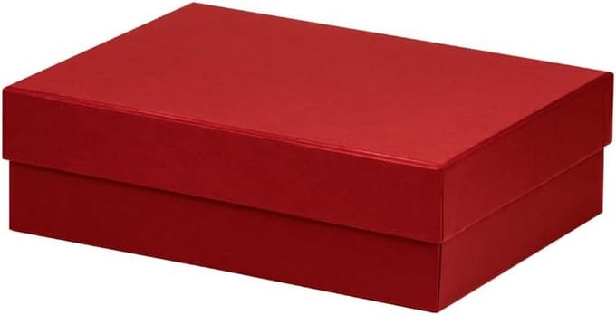 Opbergdoos Karton - Archiefdoos Box - Thuis Organiseren - Met Ribbelstructuur - 26x19x8 cm - Rood