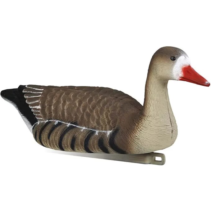 Appelants Gans  Stepland