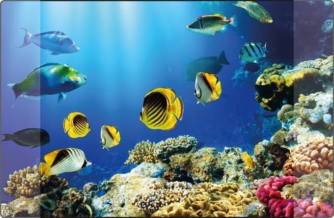 Kangaro bureau onderlegger - 38x58cm - Aquarium - antislip - met insteekvakken
