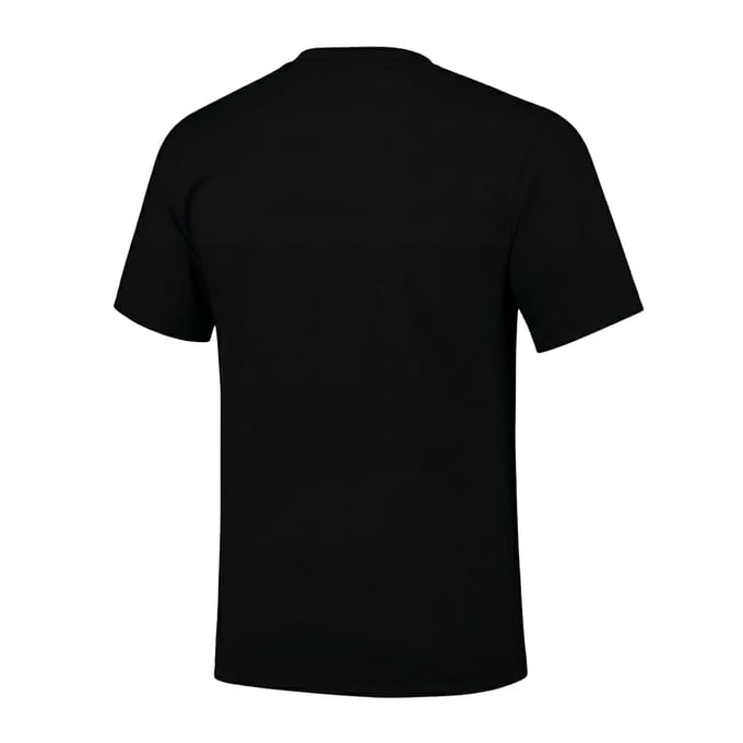 Mizuno Heren Core T-shirt met korte mouwen (Zwart)