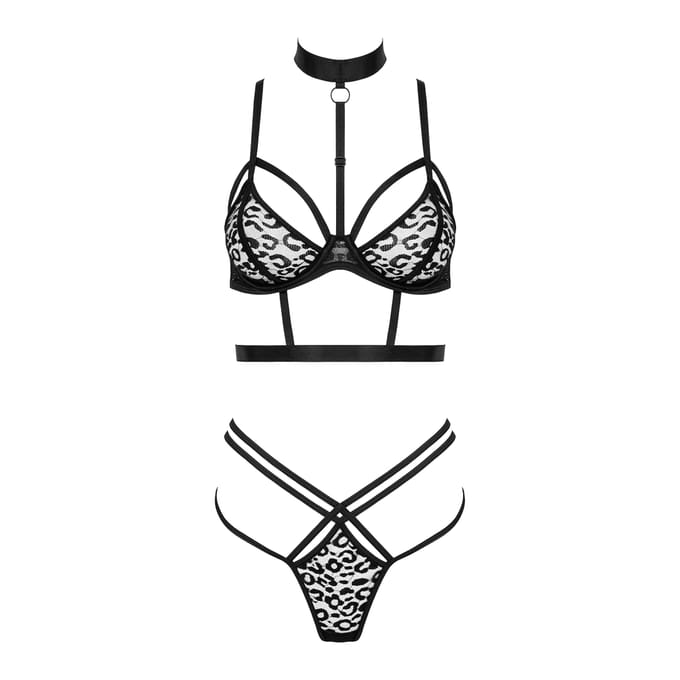 Kotek Set TP106