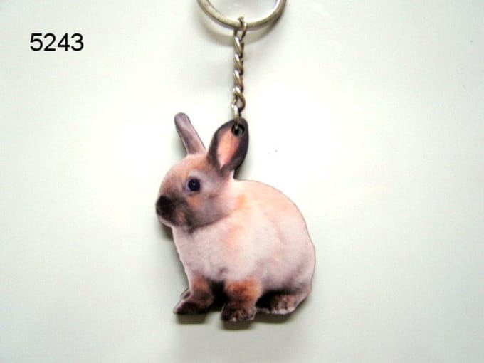 Geharo Houten Sleutelhanger Konijn – 5 cm - met Afbeelding