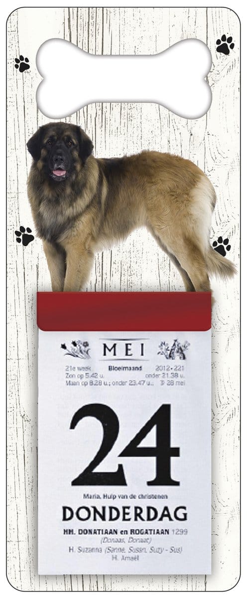 Scheurkalender 2027 Hond: Leonberger