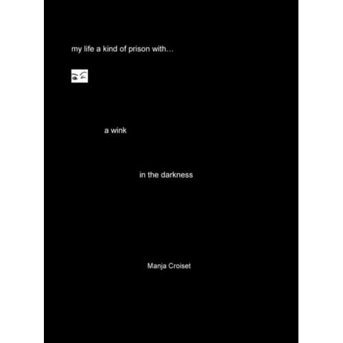 A Wink In The Darkness - Manja Croiset