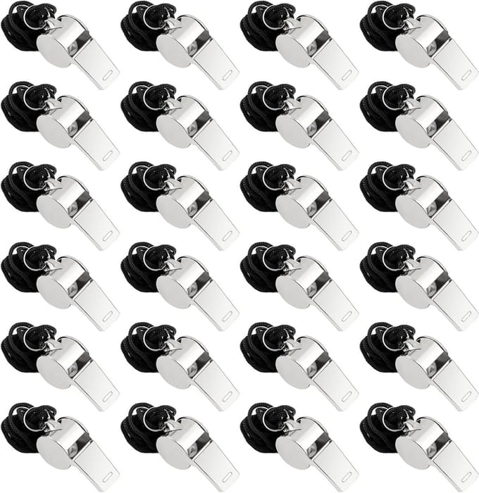 24 Stuks Rvs Fluitjes met Koord voor Sport en Diertraining