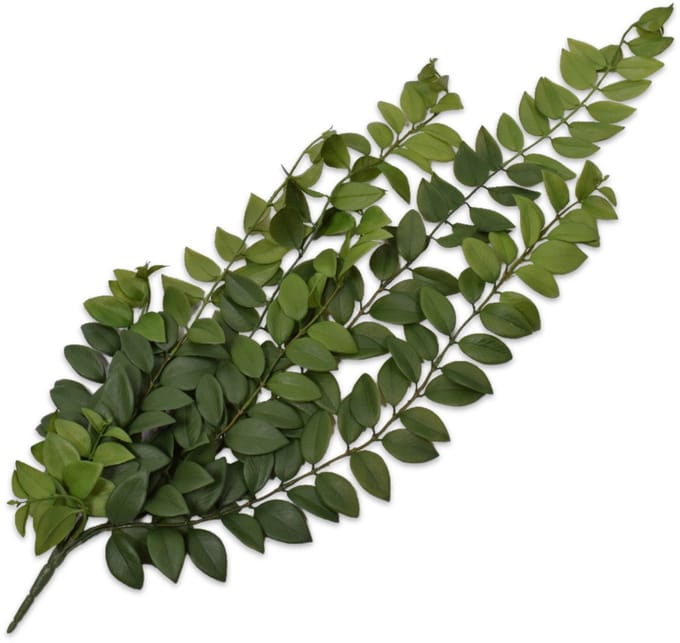 Silk-ka - Kunstplant - groen - H86 cm