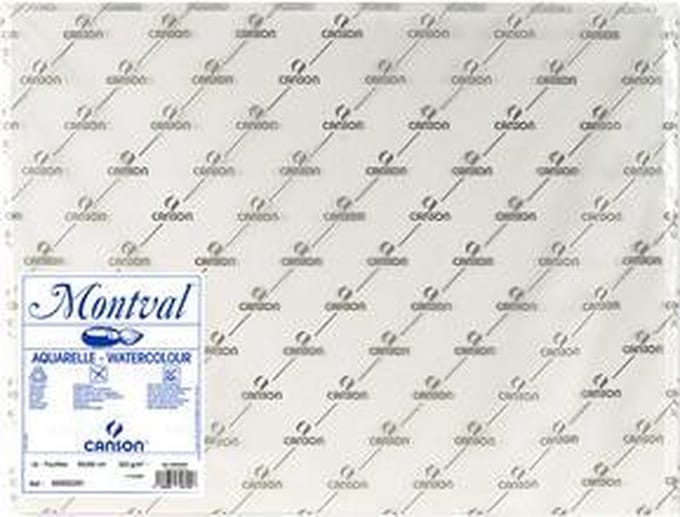 CANSON tekenpapier 'The WALL', 500 x 700 mm, 220 gsm