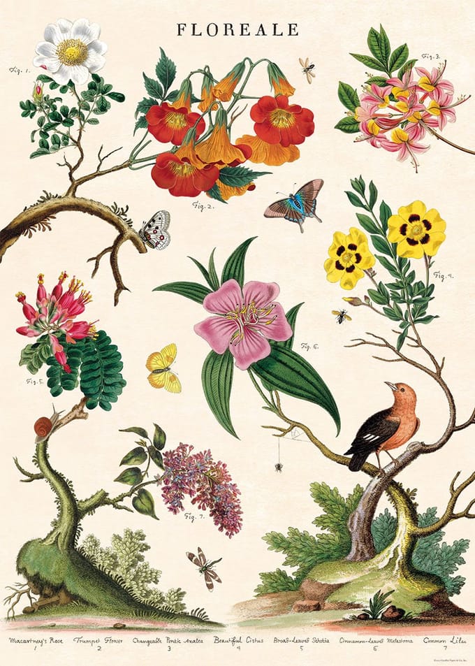 Poster Floreale - Cavallini & Co - Vintage schoolplaat - Posters