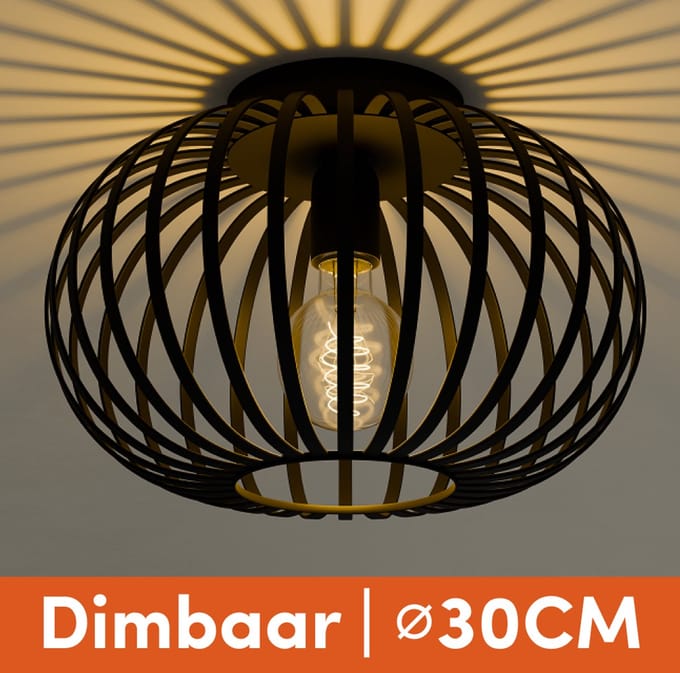 Nolt Plafondlamp Zwart - Plafonniere E27 Lamp - Industrieel - ⌀ 30cm