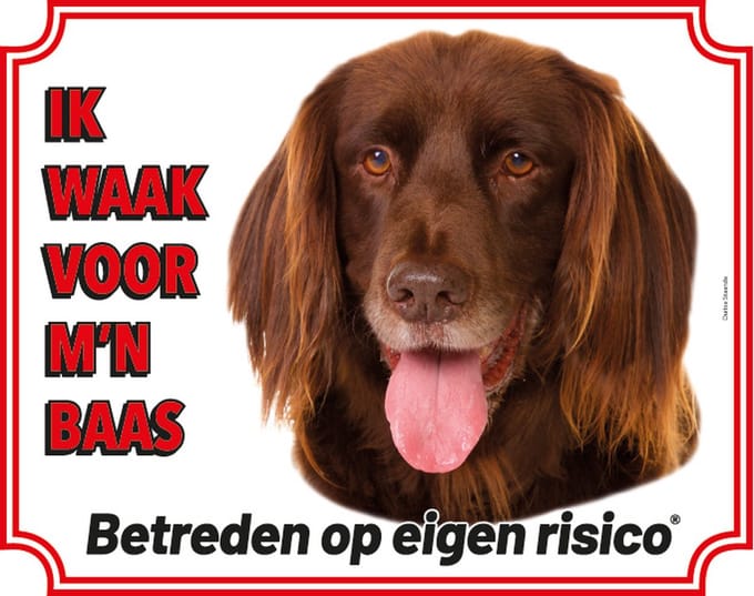 Duitse Staande Langhaar waakbord