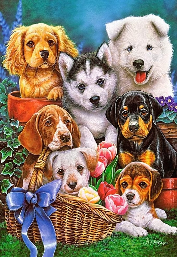 Puzzel met 1000 stukjes - Kleurrijke Puppies