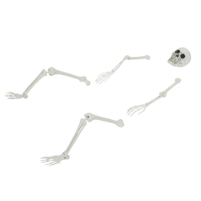 vidaXL - Halloween - Skelet - met - Grondspikes - Wit - 45,5 - x - 13 - cm - Polypropyleen