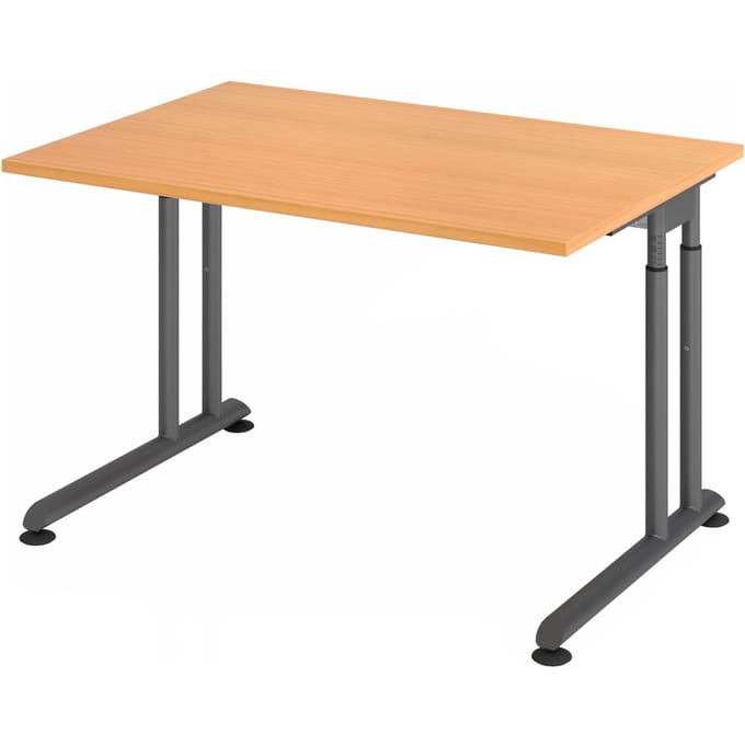ZENO 12 G | Bureau - 120x80 Tafelhoogte I In hoogte verstelbaar Beuken/Grafiet