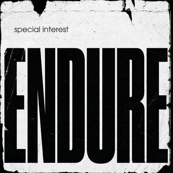Special Interest - Endure (LP)