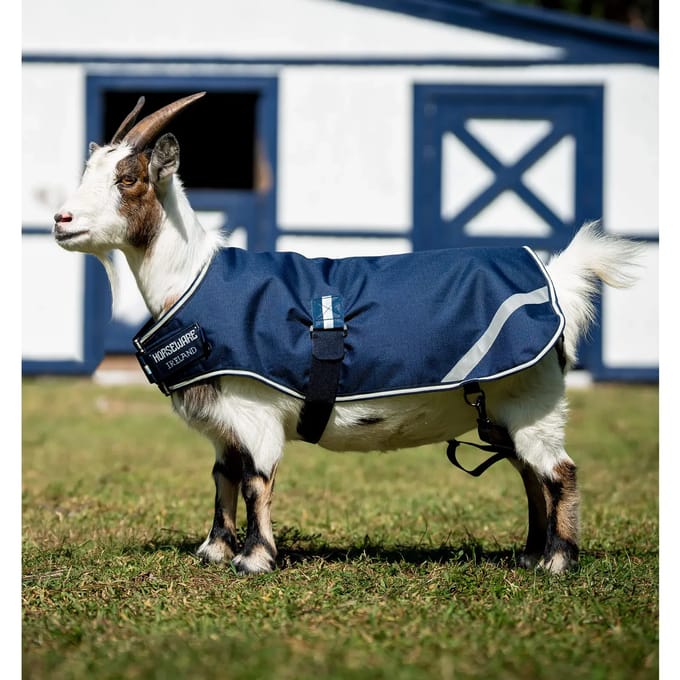 Dekentje voor een geit Horseware 0g