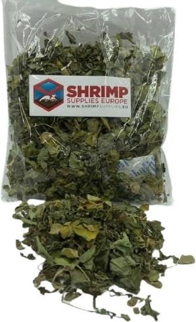Moringa bladeren - Aquarium - Garnalen voer - Aquarium decoratie