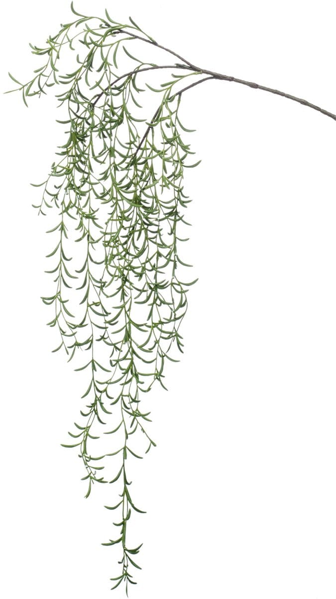 Kunst Hoya hangplant 120 cm