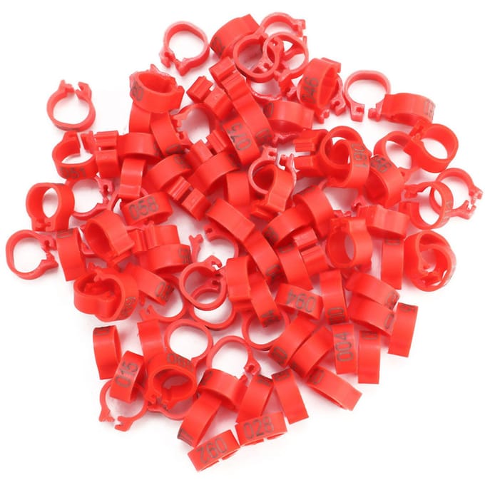 Lot de 100 bagues en plastique numérotées de 8 mm, 001 à 100, pour pattes de pigeon(rouge) rouge