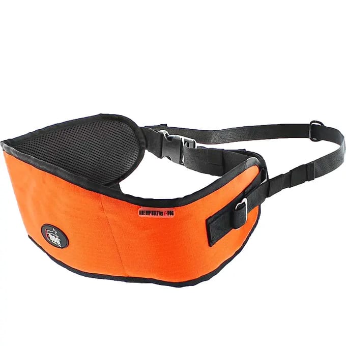Hondentuig I-DOG