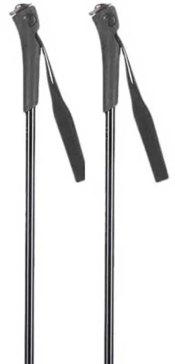 Rossignol Ft-501 Junior Stokken Zilver 80 cm Kinderen