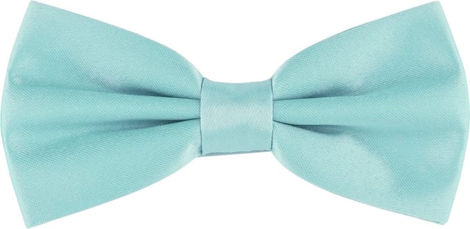 Ladeheid Smal Vlinderdas - Strikjes voor Kinderen - Lengte: 10 cm, Breedte: 5 cm - Munt - LA-SR-MJ