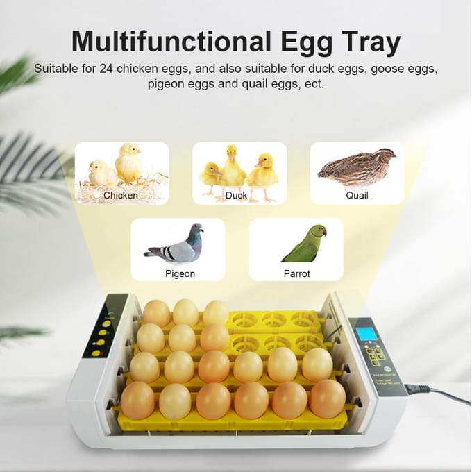 Incubateur de 24 œufs avec rotation automatique des œufs, contrôle de l'humidité et lumière de bougie d'œufs, EU Plug yellow