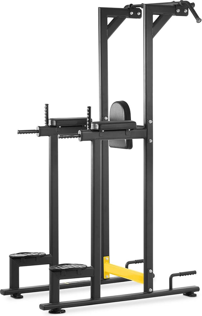 Vertical Knee Raise - 135 kg - Gymrex