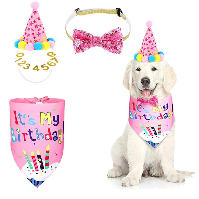 Huisdier Verjaardagsset Hond Sjaal Hoed Banner Vlag Digitale Set Huisdier Feest Requisieten