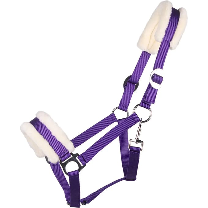 Halster voor paarden Q-essentials Cali