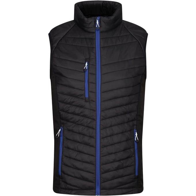 Regatta Heren Navigate Gewatteerd Hybride Gilet (Zwart/Nieuw Royal)