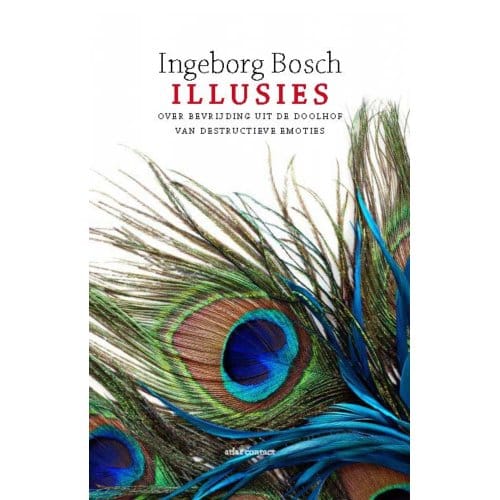 Illusies - Ingeborg Bosch