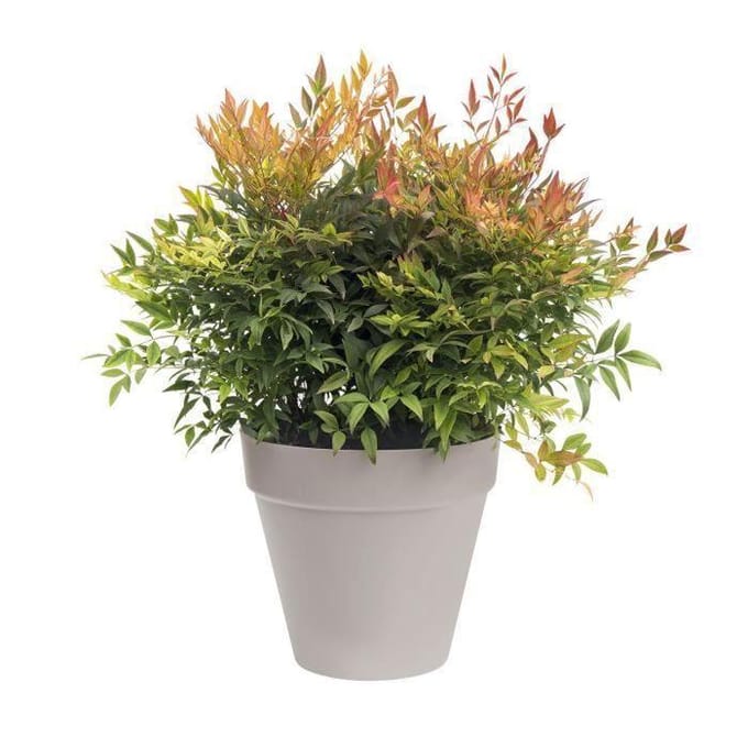 ELHO Pot de fleurs Rond Loft Urban - Ø 38,5 x H 35,3cm - Gris anthracite - Avec roues